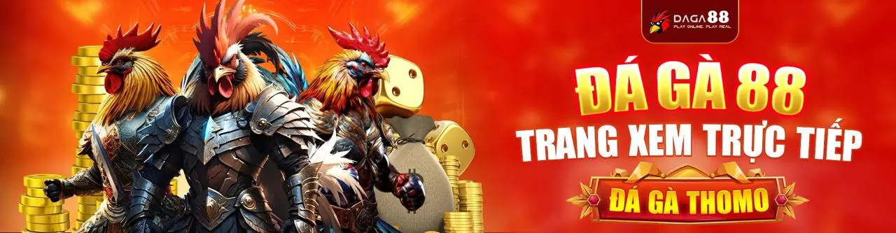 Đá gà trực tuyến kịch tính tại omo88 win