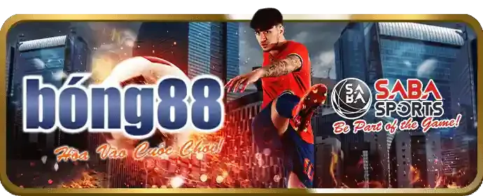 Hướng dẫn cá cược đá gà omo88 win