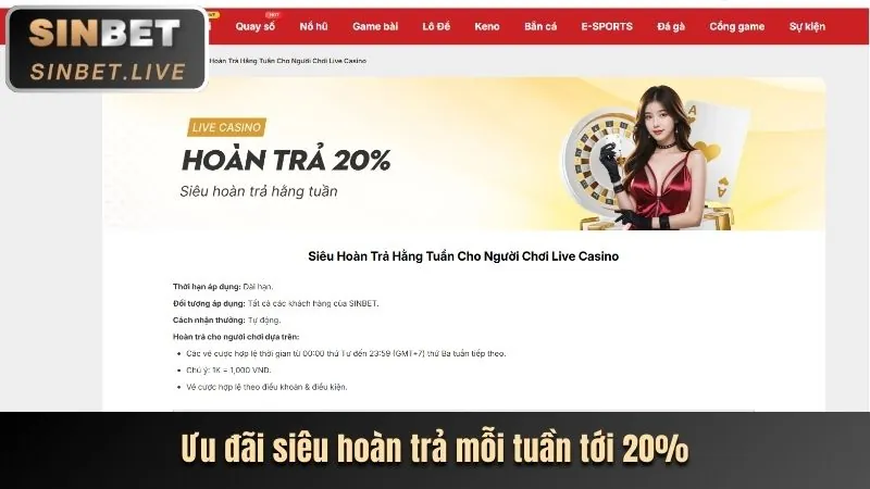 Người dùng đang đặt cược trực tiếp trên điện thoại di động